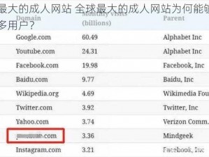 全球最大的成人网站 全球最大的成人网站为何能够吸引如此多用户？