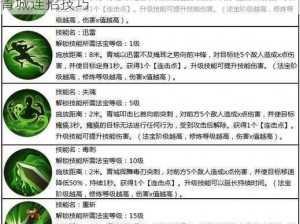 蜀门手游青城技能循环详解：攻略分享，玩转青城连招技巧