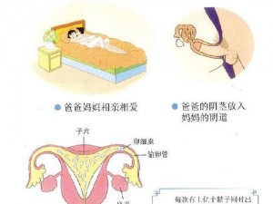 妺妺坐在我腿间做爰_未成年性行为是否合适？