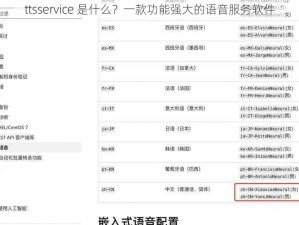 ttsservice 是什么？一款功能强大的语音服务软件