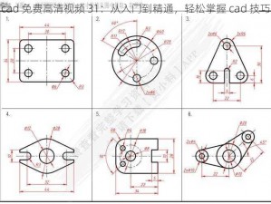 cad 免费高清视频 31：从入门到精通，轻松掌握 cad 技巧