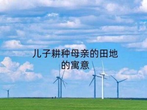 儿子耕种母亲的田—儿子耕种母亲的田：代际传承与责任