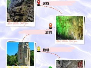 仙踪林进入地址老狼 仙踪林进入地址老狼 - 探索神秘的自然仙境