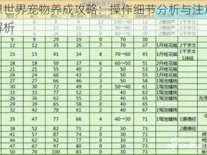 梦想世界宠物养成攻略：操作细节分析与注意事项解析