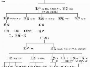 王权家族人物关系揭秘：血脉传承与纷争风云