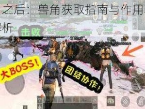 明日之后：兽角获取指南与作用功效全解析