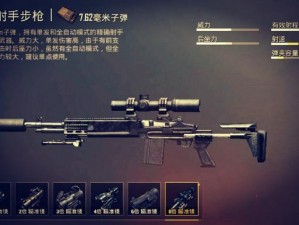 《和平精英战场精英必备：Mk14枪械全面解析》