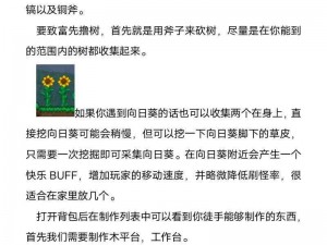 泰拉瑞亚PC新版本罕见BUG探索：细节解析与应对指南