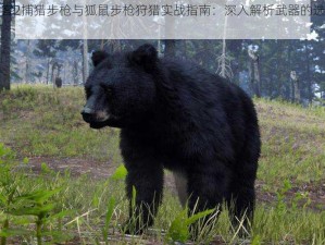 荒野大镖客2捕猎步枪与狐鼠步枪狩猎实战指南：深入解析武器的选择与使用技巧