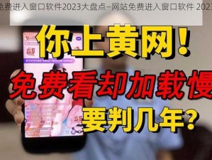 网站免费进入窗口软件2023大盘点—网站免费进入窗口软件 2023 大盘点