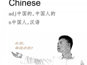 ChinesePronfree91(ChinesePronfree91 是什么？为什么要使用它？)