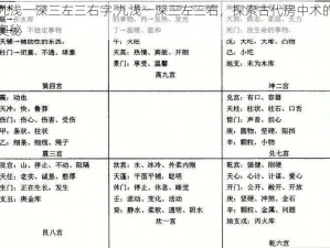 九浅一深三左三右字,九浅一深三左三右，探索古代房中术的奥秘