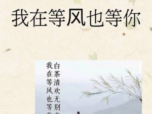 静守岁月，白茶清欢无别事，我于流年中等你，也等风起时的遇见