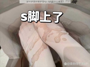 好大好紧好爽好湿np—NP 是什么意思？