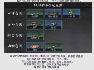 明日之后野外物资交易地点详解：哪里可以直卖出物资？