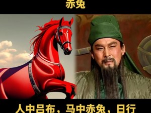 三国传奇：揭秘非凡之马——了不起的三国坐骑系统全面详解