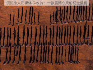 侵犯小太正裸体 Gay 片：一款震撼心灵的视觉盛宴