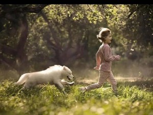 人物动物互动高清视频素材—震撼高清视频素材：人物与动物的奇妙互动