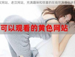 老汉网站、老汉网站，充满趣味和惊喜的在线世界等你来探索