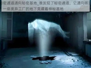 秘密通道通向秘密基地_谁发现了秘密通道，它通向哪里？一座废弃工厂的地下竟藏着神秘基地