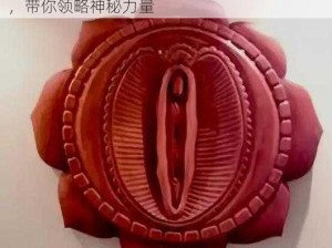 肉莲花法器图片 100 张——佛教密宗神秘法器，带你领略神秘力量