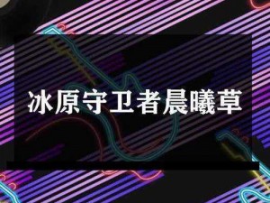 冰原守卫者晨曦草寻找攻略：探寻冰原晨曦草分布与识别指南