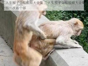 二人生猴子全程视频大全集 二人生猴子全程视频大全集，让你一次看个够