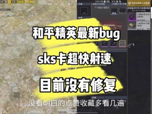 绝地求生刺激战场双倍速度Bug攻略：详解如何获取及运用双倍移动速度Bug技巧