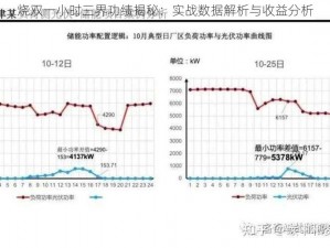 烧双一小时三界功绩揭秘：实战数据解析与收益分析