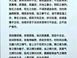 九阴真经武学体系深度解析：主副套路功能介绍与切换精髓探讨