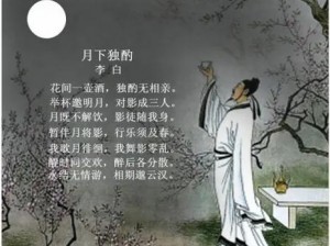 抖音孤灯孤影独自愁，孤帘望月牵思绪之歌