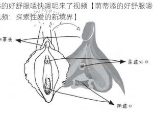 荫蒂添的好舒服嗯快嗯呢来了视频【荫蒂添的好舒服嗯快嗯呢来了视频：探索性爱的新境界】