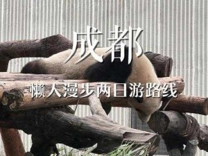 一探江湖之秘：蓉城支线任务探索之旅程揭秘