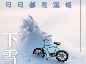 暖雪剧情深度解析：揭秘暖心背后的真相与隐藏的完美结局介绍