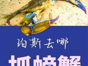 疯狂螃蟹玩法深度解析：捕鱼来了手游捕鱼技巧与策略探讨