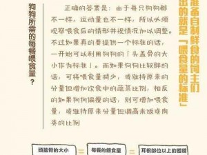 自制健康宠物零食配餐：掌握科学营养搭配秘诀，为爱宠量身打造美食盛宴