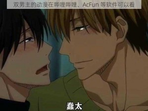 双男主的动漫在哔哩哔哩、AcFun 等软件可以看