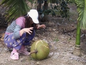 菠萝菠萝蜜国际视频在线;菠萝菠萝蜜国际视频在线：一场充满惊喜的视觉盛宴等你来