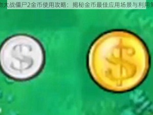 植物大战僵尸2金币使用攻略：揭秘金币最佳应用场景与利用策略