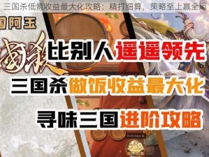 三国杀低氪收益最大化攻略：精打细算，策略至上赢全局