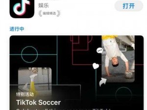 海外tiktok完美版【如何下载海外 TikTok 完美版？】