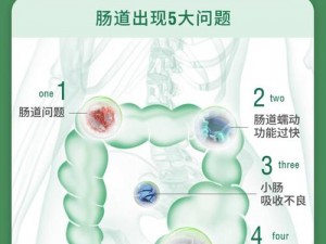 天然膳食纤维片，让你的肠道畅通无阻