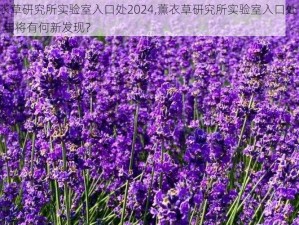 薰衣草研究所实验室入口处2024,薰衣草研究所实验室入口处 2024 年将有何新发现？