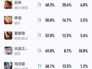 王者荣耀战士英雄定位解析：战士英雄在排位赛中的最佳位置选择策略