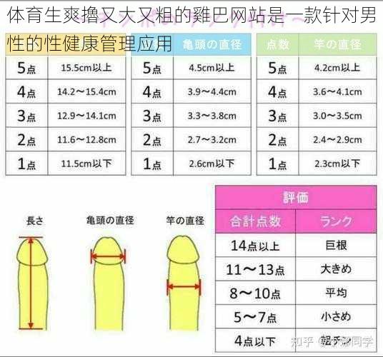 体育生爽擼又大又粗的雞巴网站是一款针对男性的性健康管理应用