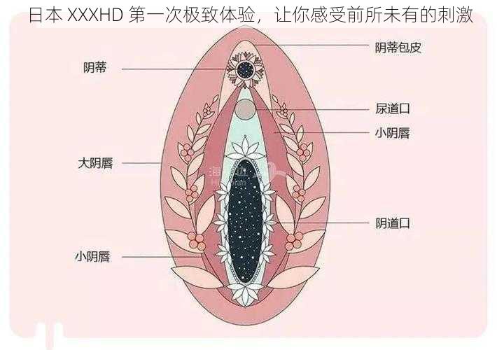 日本 XXXHD 第一次极致体验，让你感受前所未有的刺激