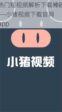 热门短视频解析下载神器——小猪视频下载官网 app