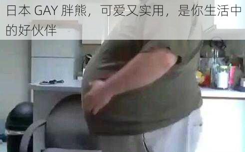 日本 GAY 胖熊，可爱又实用，是你生活中的好伙伴