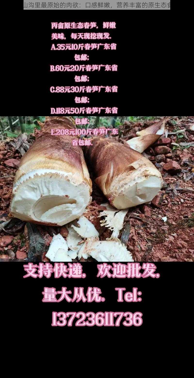 穷山沟里最原始的肉欲：口感鲜嫩，营养丰富的原生态食品