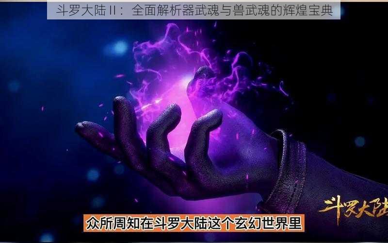 斗罗大陆Ⅱ：全面解析器武魂与兽武魂的辉煌宝典